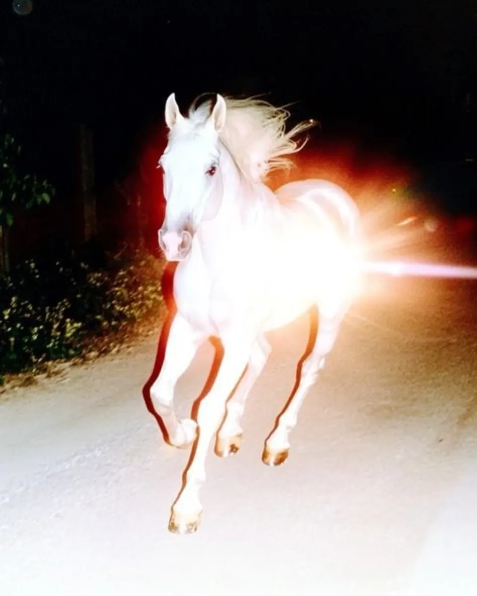 HappyHorse